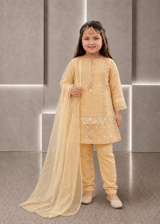 3 piece Girls dress